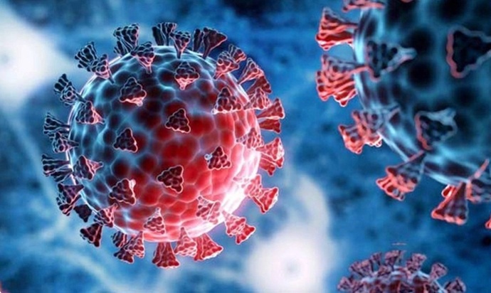 ২৪ ঘণ্টায় ৪ জনের করোনা পরীক্ষায় শনাক্ত ৩ জনের