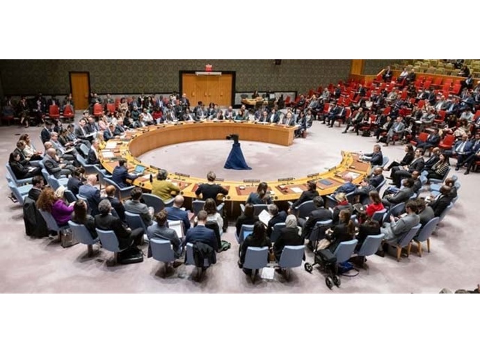 নিরাপত্তা পরিষদে যুদ্ধবিরতির প্রস্তাবের ওপর ভেটো প্রয়োগ: কূটনীতিক