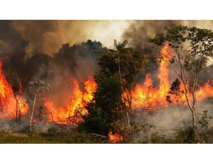 সুন্দরবনে ভয়াবহ অগ্নিকান্ড