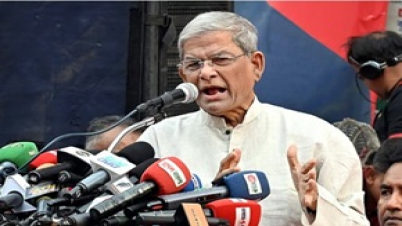 কার্যকর গণতান্ত্রিক রাষ্ট্র গড়তে ঝাঁপিয়ে পড়তে হবে: মির্জা ফখরুল