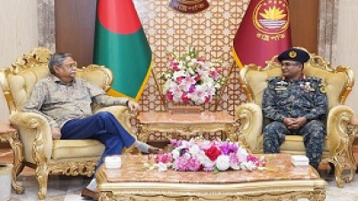 দেশের উন্নয়ন কার্যক্রমে আনসার ও ভিডিপি সদস্যদের পেশা ভিত্তিক দেশের উন্নয়ন কার্যক্রমে আনসার ও ভিডিপি সদস্যদের পেশা ভিত্তিক