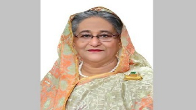 গুণগত শিল্পায়নের পথে দেশ দ্রুত এগিয়ে চলছে: প্রধানমন্ত্রী
