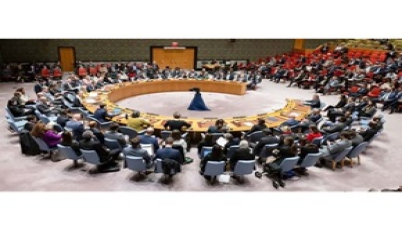 নিরাপত্তা পরিষদে যুদ্ধবিরতির প্রস্তাবের ওপর ভেটো প্রয়োগ: কূটনীতিক