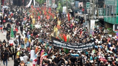 পবিত্র আশুরা উপলক্ষে তাজিয়া মিছিল