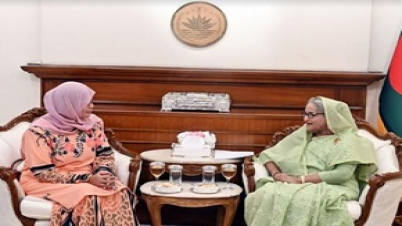 মালয়েশিয়া বাংলাদেশে পেরোডুয়া গাড়ি সম্পূর্ণভাবে তৈরি করতে পারে :