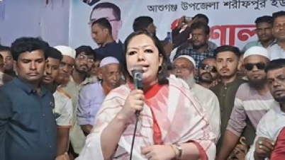 তারা ভোটে দাঁড়ালে ১০ আসনও পাবে না : রুমিন ফারহানা