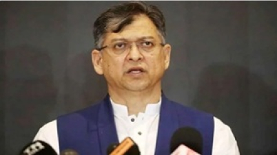বিএনপি উত্তর বা দক্ষিণপন্থী নয়, মধ্যপন্থী দল : সালাহউদ্দিন আহমদ