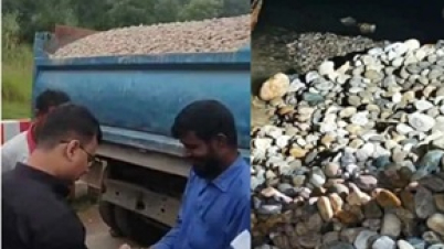 সিলেটে সাদা পাথর লুটপাট: অভিযানে ৩৫ হাজার ঘনফুট পাথর উদ্ধার