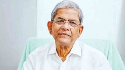 আমরা গণতান্ত্রিক অধিকার ও নির্বাচন চাই : মির্জা ফখরুল