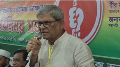 মুক্তিযুদ্ধকে ভুলিয়ে দেওয়ার চেষ্টা চলছে : মির্জা ফখরুল