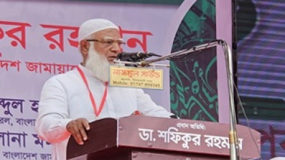 মেজরিটি-মাইনোরিটি মানি না, সবাই দেশের গর্বিত নাগরিক:জামায়াত আমির