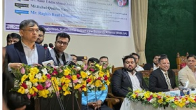 পিআর মানে হলো ‘পারমানেন্ট রেস্টলেসনেস’: সালাহউদ্দিন আহমদ