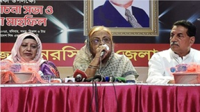 ‘মব জাস্টিস’ হচ্ছে অন্তর্বর্তী সরকারের নাটক : সেলিমা রহমান