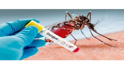 গত ২৪ ঘণ্টায় ডেঙ্গুতে ১২ জনের মৃত্যু