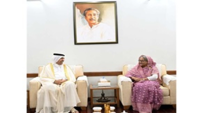 গাজায় শান্তি প্রতিষ্ঠায় ওআইসি’কে একসঙ্গে কাজ করা উচিত : গাজায় শান্তি প্রতিষ্ঠায় ওআইসি’কে একসঙ্গে কাজ করা উচিত :