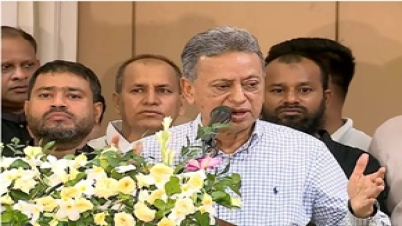 সংসদের বাইরে সংবিধান সংশোধনের কোনো সুযোগ নেই : আমীর খসরু