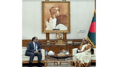 বাংলাদেশ ও পাকিস্তানের মধ্যে বিভিন্ন খাতে কাজ করার সুযোগ রয়েছে :