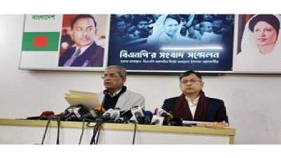 পঞ্চদশ সংশোধনী সংক্রান্ত আদালতের রায়কে বিএনপির ‘অ্যাপ্রিশিয়েট’