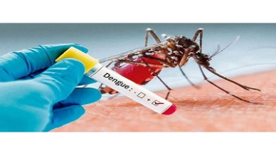 গত ২৪ ঘণ্টায় ডেঙ্গুতে ১৩ জনের মৃত্যু