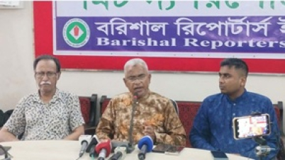 কখন দেশে ফিরতে পারেন তারেক রহমান, জানালেন আলাল