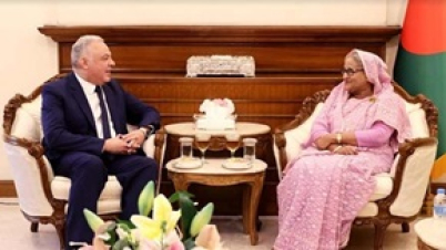 মুসলিম সম্প্রদায়ের উচিত গাজায় গণহত্যার বিরুদ্ধে ঐক্যবদ্ধ হওয়া :