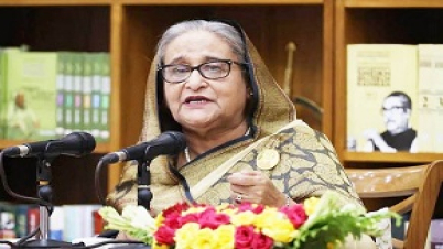 স্যাংশনও দেবে নিরাপত্তাও চাইবে এ কেমন কথা:প্রধানমন্ত্রী