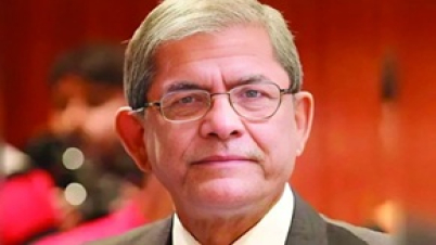 আগেই সিদ্ধান্ত নিলে সরকারকে চাপে পড়তে হতো না : মির্জা ফখরুল