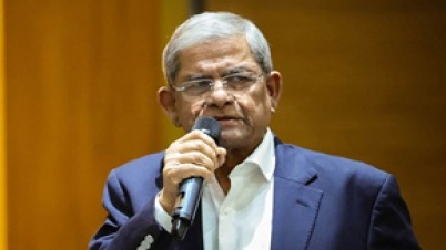 দুষ্কৃতকারীদের কঠোর হস্তে দমনের বিকল্প নেই : মির্জা ফখরুল