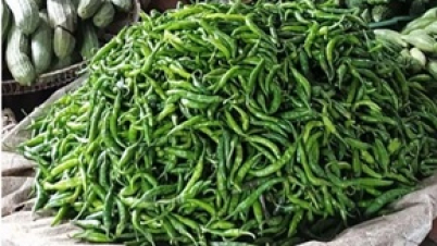 কাঁচা মরিচের কেজি ৩০০ টাকা
