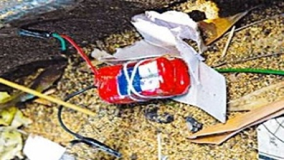 দেশব্যাপী সিরিজ বোমা হামলার ১৮ বছরপূর্তি কাল