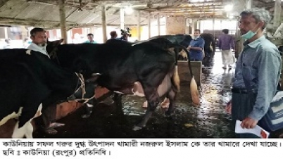 চাকরী নামক সোনার হরিনের পিছে না ছুটে খামার করার আহবান