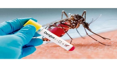 গত ২৪ ঘন্টায় ডেঙ্গু আক্রান্ত হয়ে ৮৩৬ জন হাসপাতালে ভর্তি